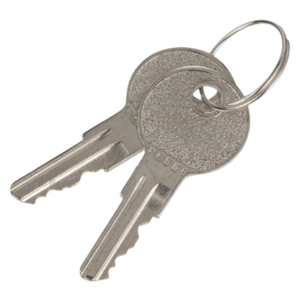 Ignition Starter Switch Replacement Key (Set of 2)